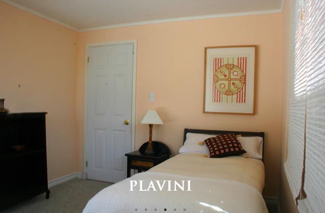 TDM - CASA 3 - Plavini